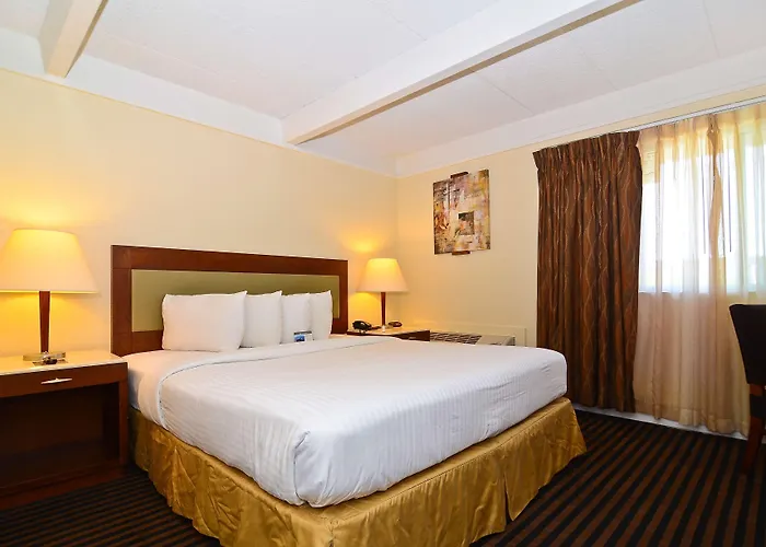 Motel Lexington & Suites-elgin 2*