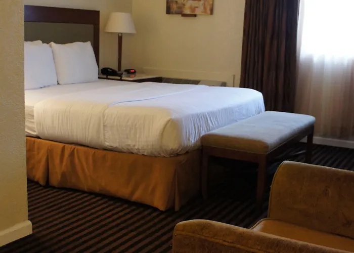 Lexington & Suites-elgin Elgin