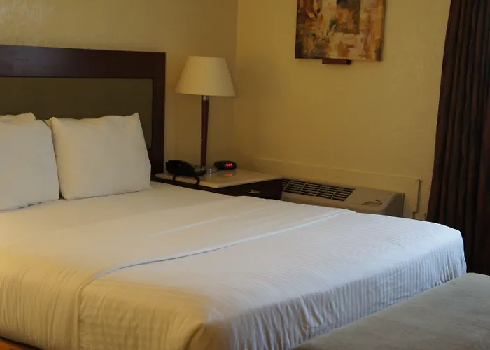 Motel Lexington & Suites-elgin 2*