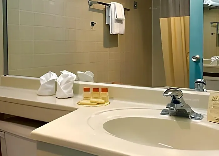 Lexington & Suites-elgin Motel 2*