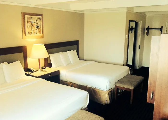 Motel Lexington & Suites-elgin 2*