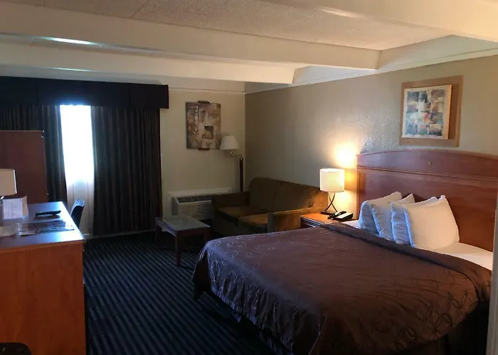 Lexington & Suites-elgin