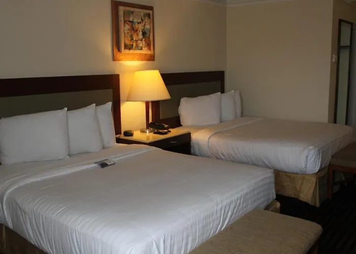 Lexington & Suites-elgin 2*