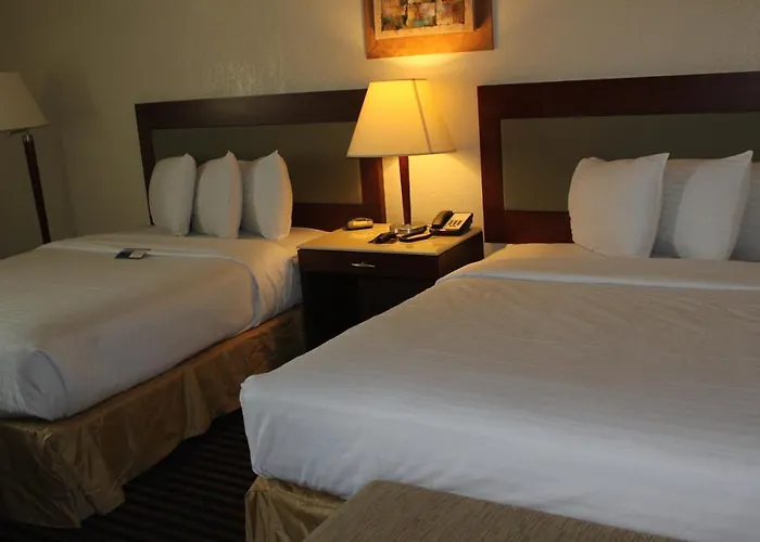 Lexington & Suites-elgin